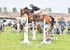BPP_0721