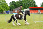 SBM_01164