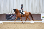 SBM_003902