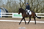 Cls 5 Novice 39 portfolio