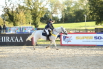 SBM_54351