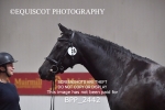 BPP_2442