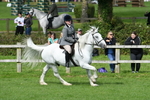 SBM_46899