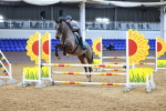 SBM_001314