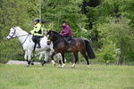 WJ6_1852