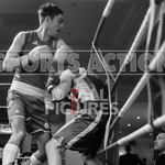 Bout - 7_Sam Masterton v William Graham-5