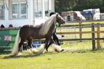 SBM_08958