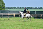 SBM_15374