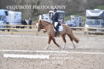 BPP_9990