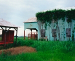 Green Gin, Mississippi, 1999