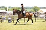 SBM_14907