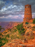 The Tower
