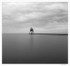 210A0427bwtif