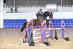 Class 11 - Senior Foxhunter 1.20m portfolio