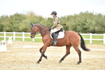 SBM_002495