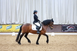 SBM_002761