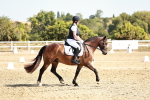SBM_017347