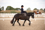 SBM_05342