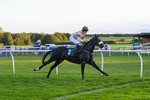 300926-Race 8-Jojo Rabbit-7201