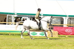 SBM_11940
