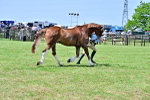 SBM_03916