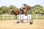 SBM_004508