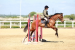 SBM_007173