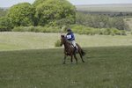 BVHT 140517  IXC -427