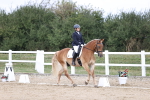 SBM_016771