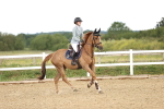 SBM_006053