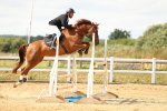 SBM_010455