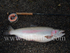 6lb Taupo Jack.