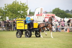 SBM_07070
