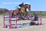 BPP_3234