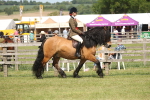 SBM_07670