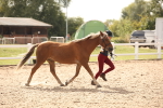 SBM_08137