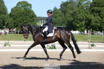 355-JASON_KING-Izzy_Taylor-WEDTrotUp+DR portfolio