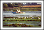 Bosham 15