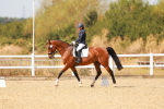 SBM_018585