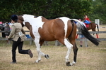 WJ6_8157