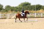SBM_005748