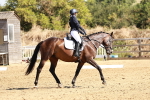 SBM_001391