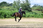 WJ5_8961