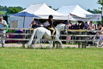SBM_15308