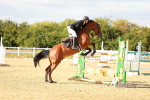 SBM_007989