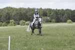 BVHT 140517  NXC -323