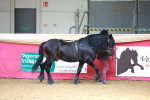 SBM_02933