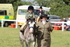 JPP_0976