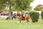 SBM_64223