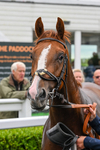 100724-Race 3-Wondrous Ways-4913